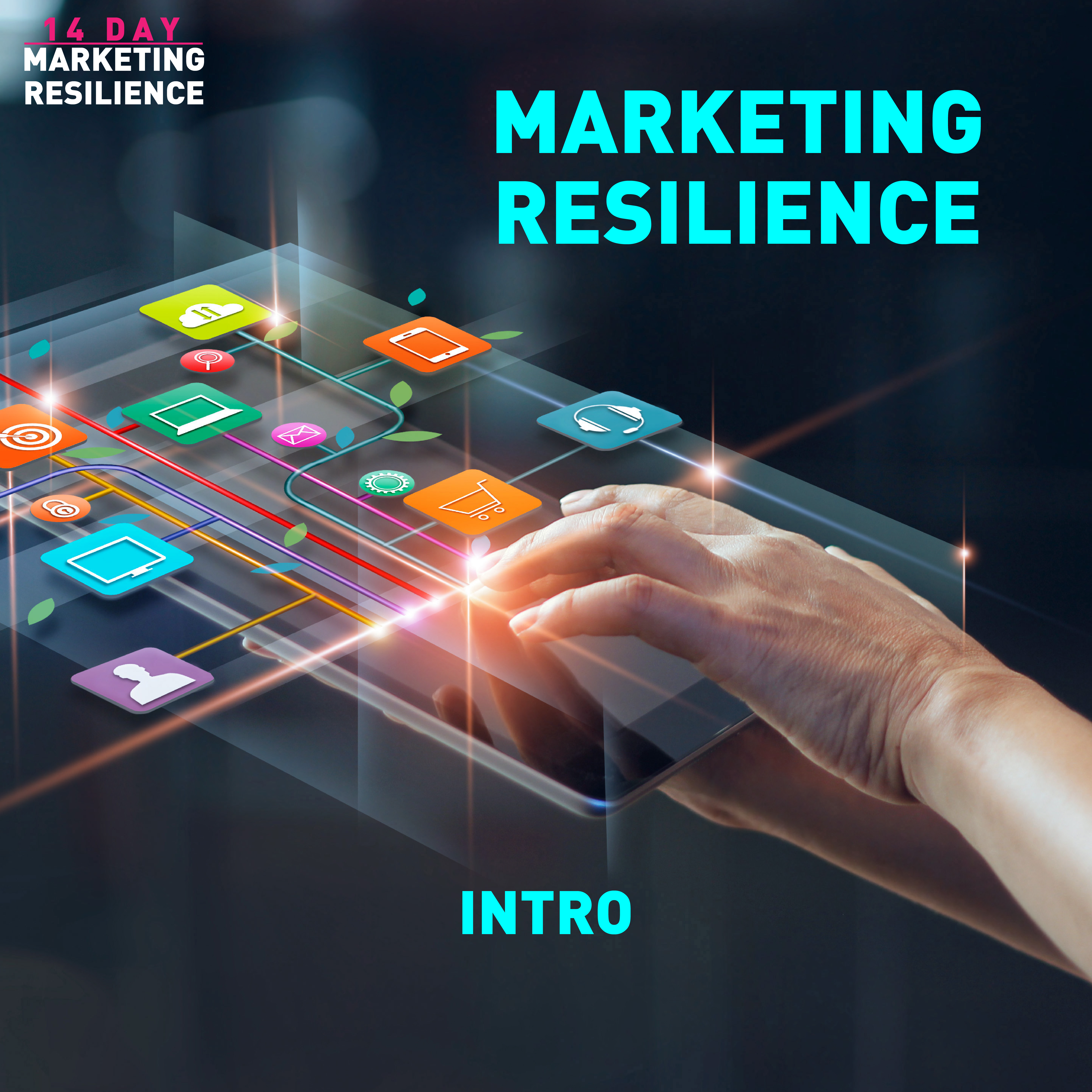 MARKETING RESILIENCE introduction 14 day challenge
