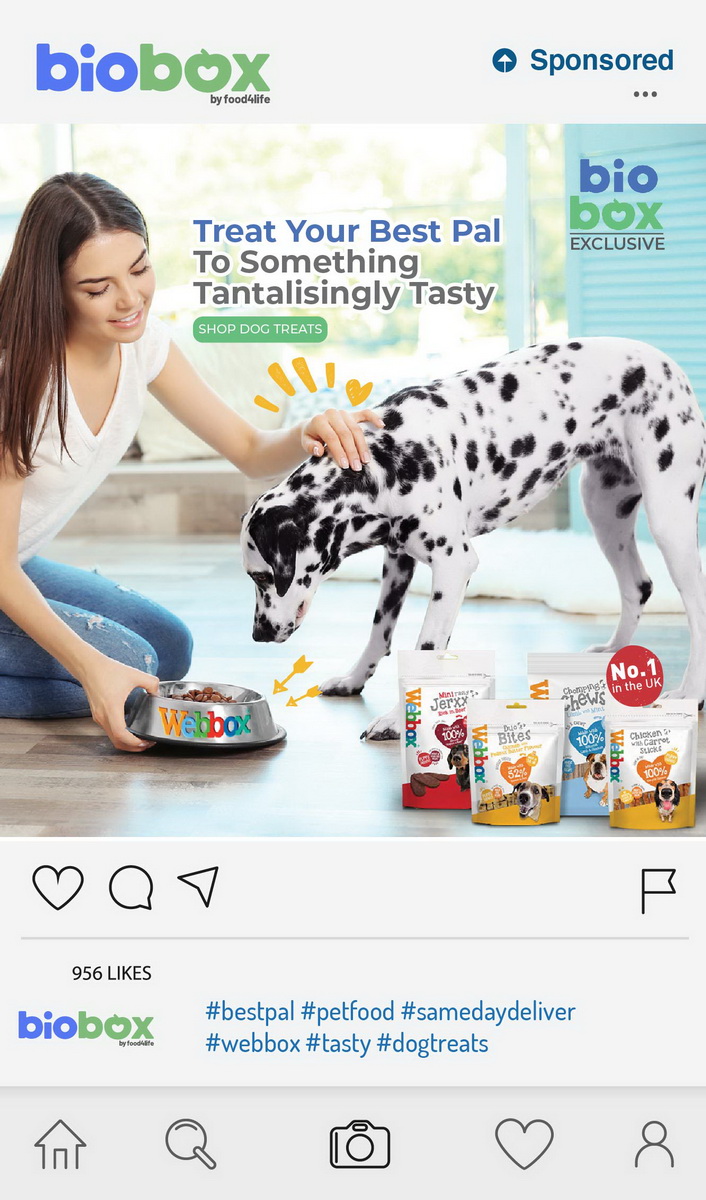 webbox and biobox advertising cross promotion social media strategy dog and cat food