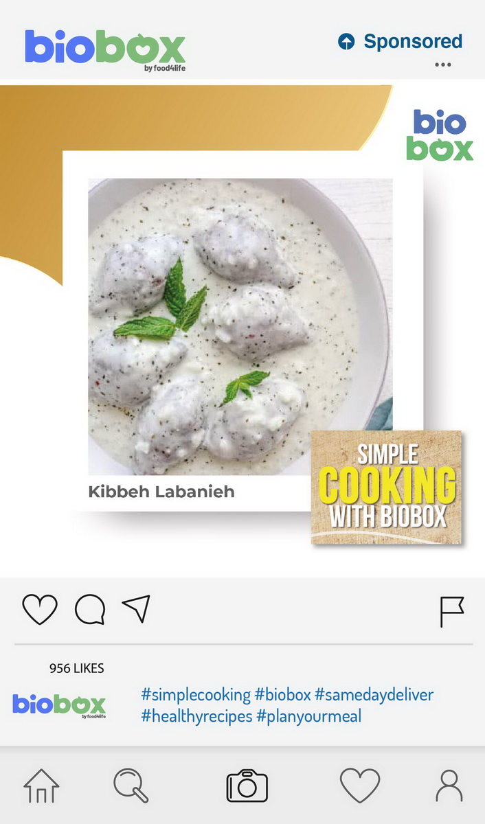simple cooking with biobox recipe kebbeh labanieh